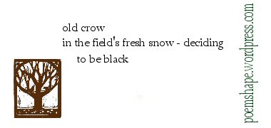 haiku-old-crow