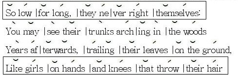 bracketed-lines-corrected